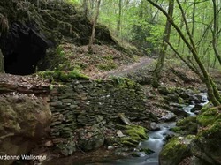 Illustration de la galerie